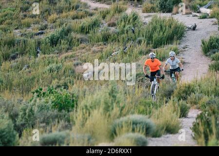 Seriöse professionelle Radfahrer in Helmen und Sonnenbrillen Reiten bergauf in hochland während des Trainings im Sommer Stockfoto