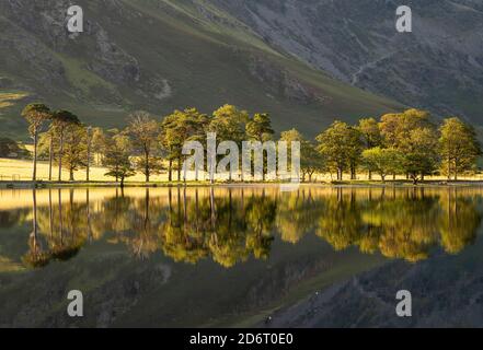 Sommerfrühmorgens Reflexionen über Buttermere im Lake District, Cumbria England Stockfoto