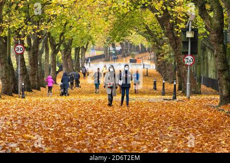 Kelvingrove Park, Glasgow, Schottland, Großbritannien. Oktober 2020. UK Wetter - Kelvin Way, die durch Kelvingrove Park läuft, und ist für den Verkehr gesperrt, um für soziale Distanzierung leuchtet hellorange mit den feuchten abgefallenen Blättern, die normalerweise zur Seite durch den Verkehr gefegt werden. Kredit: Kay Roxby/Alamy Live Nachrichten Stockfoto