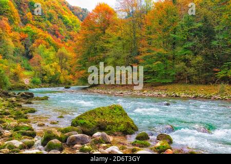 Herbstlandschaft. Bunte Blätter auf Bäumen. Fluss, der durch einen Wald fließt. Stockfoto