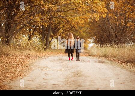 Zwei Mädchen im Teenageralter gehen im warmen Herbst an einer Waldstraße entlang. Stockfoto