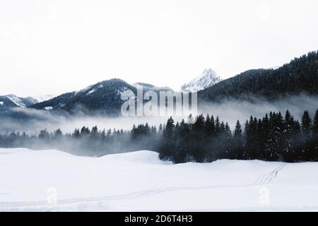 Kalte Winterlandschaft des Bergtals mit dunklen Nadelwäldern Und verschneite Hügel bei Schneesturm Stockfoto