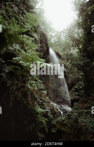 Malerische Landschaft von kleinen Wasserfall fallen in enge Bergschlucht Bedeckt mit grünen Pflanzen im Hochland Stockfoto