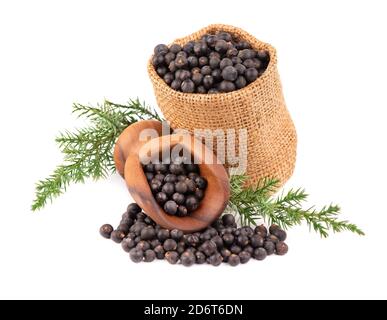 Trockene Wacholderbeeren in kleinem Sackleinen mit grünem Ast, isoliert auf weißem Hintergrund. Gewöhnliche Wacholderfrüchte. Stockfoto