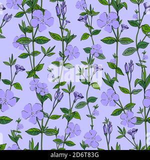 Wildblumen Muster nahtlose Hintergrund. Exotische Tapete. Modischer Trenddruck. Blaue Blumen. Periwinkle-Muster. Druck für moderne Textilien Stockfoto