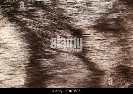 Naturfell für Textur oder Hintergrund. Luxuriöse und elegante flauschige Kleidung. Naturmodekonzept. Gefärbter Pelzmantel in braun und grau, Nahaufnahme. Stockfoto