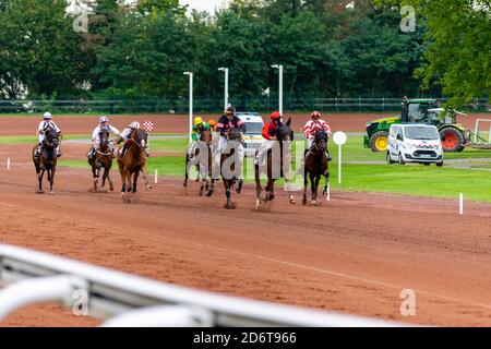 Pferderennen Hippodrom von feurs Stockfoto