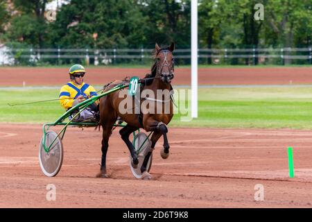 Pferderennen Hippodrom von feurs Stockfoto