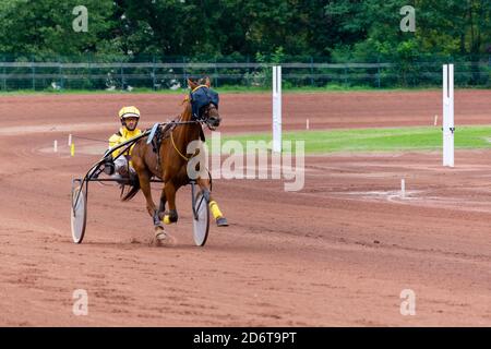 Pferderennen Hippodrom von feurs Stockfoto