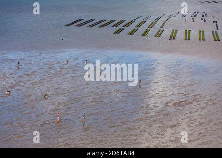 Passage du Gois, untergetauchte Straße zwischen und Beauvoir-sur-mer und der Insel Noirmoutier. Luftaufnahme der Muschelsammler und Austernbeete in der Stockfoto