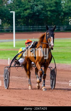 Pferderennen Hippodrom von feurs Stockfoto