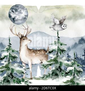 Hand gezeichnet Aquarell Hirsch mit Eule skandinavische Illustration, Isolation Objekte auf weißem Hintergrund Wald Tierwelt Tier Wald Stockfoto