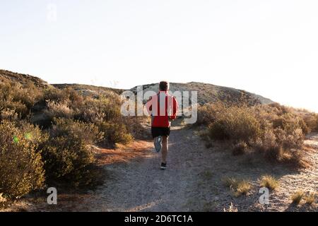 Rückansicht des nicht erkennbaren aktiven männlichen Joggers, der bergauf läuft Sandiges Gelände in der Halbwüste während des Trainings am sonnigen Morgen Stockfoto