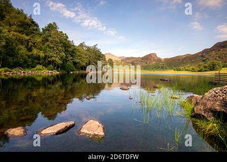 Sommertag in Blea Tarn im Lake District, Cumbria England Stockfoto