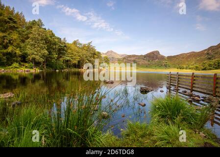 Sommertag in Blea Tarn im Lake District, Cumbria England Stockfoto