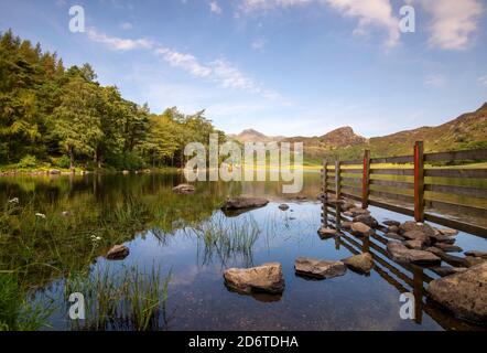 Sommertag in Blea Tarn im Lake District, Cumbria England Stockfoto