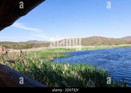 Blick über den oberen Damm, die Berge und die Beete von der zweiten Vogelfalle, Vrolijkheid Nature Reserve, McGregor, Western Cape, Südafrika im Frühjahr Stockfoto