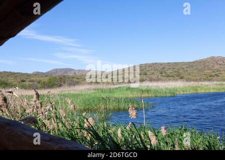 Blick über den oberen Damm und die Aufstecke vom zweiten Vogelschutzgebiet, Vrolijkheid Nature Reserve, McGregor, Western Cape, Südafrika im Frühling Stockfoto