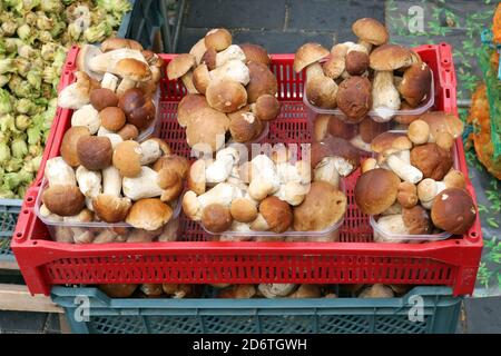 Ein frischer Herbst Steinpilze (Boletus edulis) auf der Straße verkauft Stockfoto