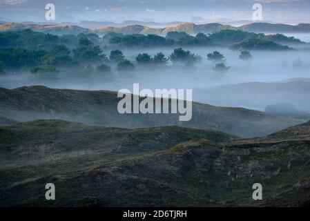 Die Dünen von Biville entlang der Küste der Normandie, auf der Halbinsel Cotentin. Überblick über die Strecke des Sandes von Biville in der Dämmerung, im Nebel. Die Website ist Stockfoto