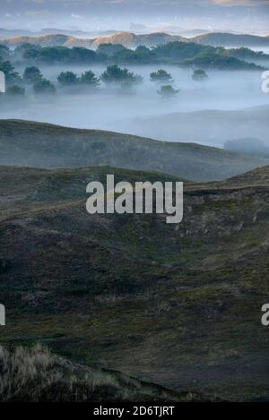 Die Dünen von Biville entlang der Küste der Normandie, auf der Halbinsel Cotentin. Überblick über die Strecke des Sandes von Biville in der Dämmerung, im Nebel. Die Website ist Stockfoto