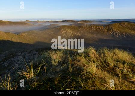 Die Dünen von Biville entlang der Küste der Normandie, auf der Halbinsel Cotentin. Überblick über die Strecke des Sandes von Biville in der Dämmerung, im Nebel. Die Website ist Stockfoto