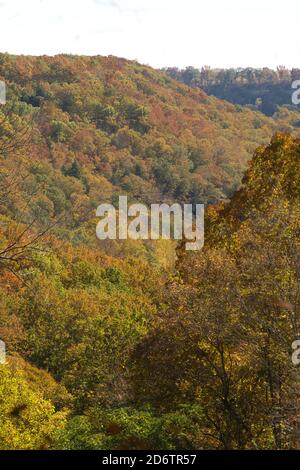 Herbstfarben im Tal vom Aussichtspunkt im Bussardroost chillicothe ohio aus gesehen. Herbstblätter zeigen verschiedene Farben in der Schlucht. Schöne Ohio Saison Wechsel Stockfoto