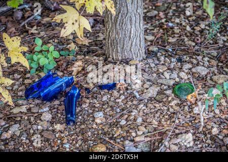 Ein paar zerbrochene Bierflaschen lagen auf dem Waldboden entlang der Spur achtlos weggeworfen Verschmutzung der Umwelt Stockfoto