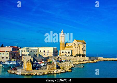 Kathedrale Basilika Sankt Nikolaus der Pilger (Basilica Cattedrale San Nicola Pellegrino) über dem Hafen von Trani. Trani, Apulien (Apulien), Italien Stockfoto