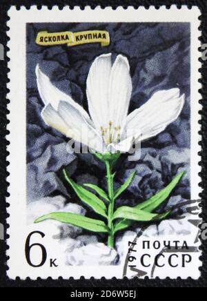 MOSKAU, RUSSLAND - 7. JANUAR 2017: Eine in der UdSSR gedruckte Briefmarke zeigt eine Serie von Bildern 'Blumen' um 1977 Stockfoto