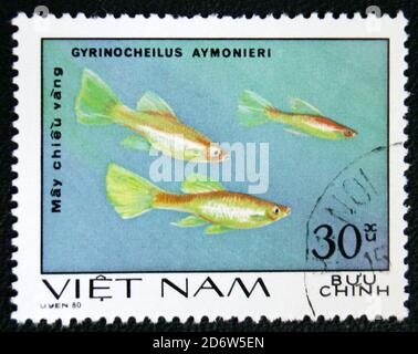 MOSKAU, RUSSLAND - 7. JANUAR 2017: Eine in Vietnam gedruckte Briefmarke zeigt Gyrinocheilus aymonieri-Fische, um 1980 Stockfoto