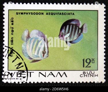 MOSKAU, RUSSLAND - 7. JANUAR 2017: Eine in Vietnam gedruckte Briefmarke zeigt Symphysodon aequifaciata, um 1980 Stockfoto