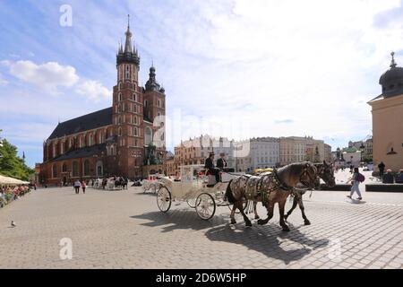 Krakau. Krakau. Polen. Hackney-Bus, der am Alten Marktplatz vor der St. Mary Basilika vorbeifährt. Stockfoto