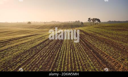 Herbstlandschaft mit landwirtschaftlichem Feld bei Sonnenuntergang. Stockfoto
