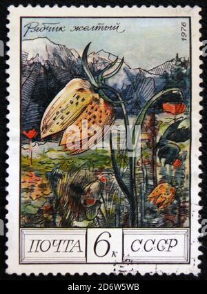 MOSKAU, RUSSLAND - 7. JANUAR 2017: Briefmarke zeigt Bild eines Gelben Fritillarias 'Fritillaria collina', um 1976 Stockfoto