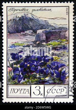 MOSKAU, RUSSLAND - 7. JANUAR 2017: Eine in Russland gedruckte Marke zeigt Gentian, Gentiana, Blühende Pflanze des Kaukasus, um 1976 Stockfoto