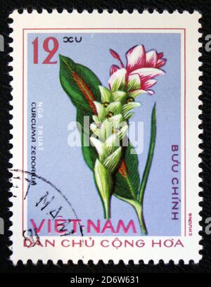 MOSKAU, RUSSLAND - 7. JANUAR 2017: Eine in Vietnam gedruckte Briefmarke mit Curcuma Zedoaria, um 1975 Stockfoto