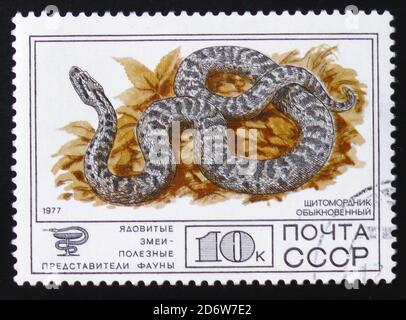 MOSKAU, RUSSLAND - 12. FEBRUAR 2017: Ein in Russland gedrucktes Briefmarkenblatt zeigt Cottonmouth Ordinary, Sammlung geschützter Fauna der UdSSR, giftiges S Stockfoto