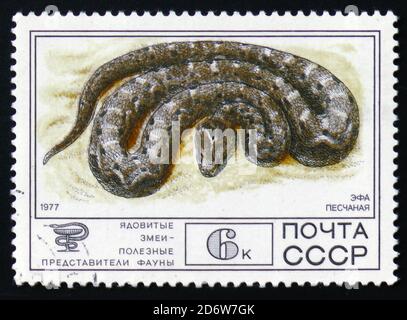 MOSKAU, RUSSLAND - 12. FEBRUAR 2017: Ein in Russland gedrucktes Briefmarkenblatt zeigt F-Loch Sand, Sammlung geschützter Fauna der UdSSR, giftige Schlangen, se Stockfoto