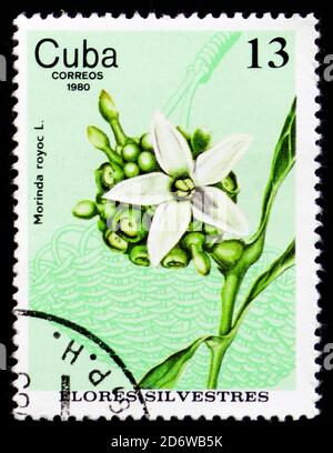 MOSKAU, RUSSLAND - 12. FEBRUAR 2017: Eine in Kuba gedruckte Briefmarke zeigt Morinda royoc, um 1980 Stockfoto
