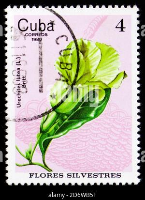 MOSKAU, RUSSLAND - 12. FEBRUAR 2017: Eine in Kuba gedruckte Briefmarke zeigt Urechites lutea, um 1980 Stockfoto