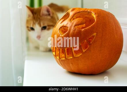 Der Cheshire Cat Shape geschnitzter Halloween Kürbis auf Fensterbank Stockfoto