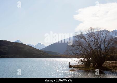 Mount Aspiring, von Glendhu Bay, Wanaka, Central Otago, South Island, Neuseeland Stockfoto