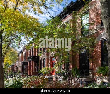 Rowhouses im Lincoln Park Viertel Stockfoto