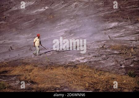 Saisonale Verbrennung von Wald, um Subsistenzwirtschaft zu ermöglichen; tropischer Trockenwald; Chococente, Nicaragua. Stockfoto