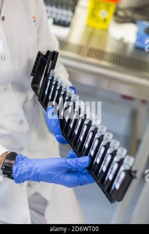 Laden der Reagenzien von COVID-19 Screening-PCR-Testproben in die automatische Maschine, Krankenhaus-Analyselabor Limoges, Frankreich. Stockfoto