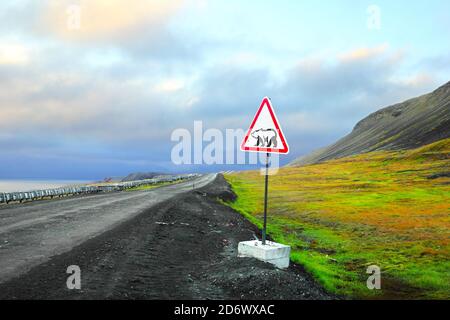 Schöne Aussicht - Eisbären-Warnschild auf der Straße von Barentsburg nach Longyearbyen im Hintergrund des Abendhimmels in Spitzbergen, Spitzbergen Stockfoto