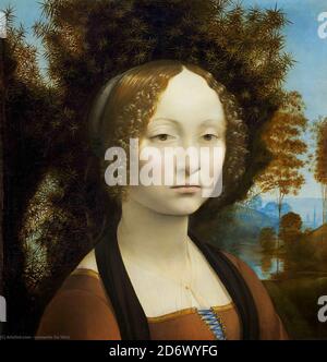 Titel: Portrait von Ginevra Benci Ersteller: Leonardo Da Vinci Datum: c. 1474- 78 Medium: Öl auf Platte Abmessungen: National Gallery of Art, Washington DC, Ort: 38.1 x 37 cm Stockfoto