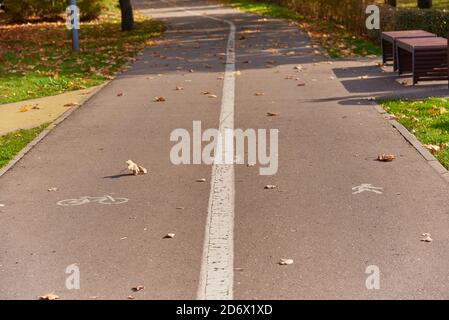 Asphaltierte Straße im Park, geteilt durch Markierungen auf dem Fahrrad und Fußgänger Teile. Stockfoto