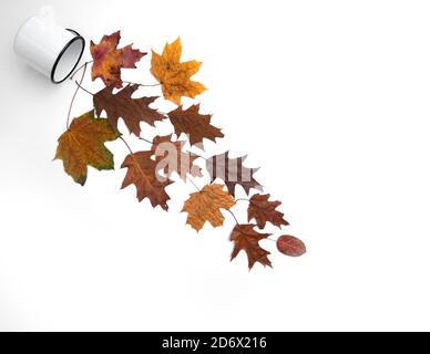 Fantasy-Komposition aus Herbstblättern und Tassen auf der weißen Hintergrund Stockfoto